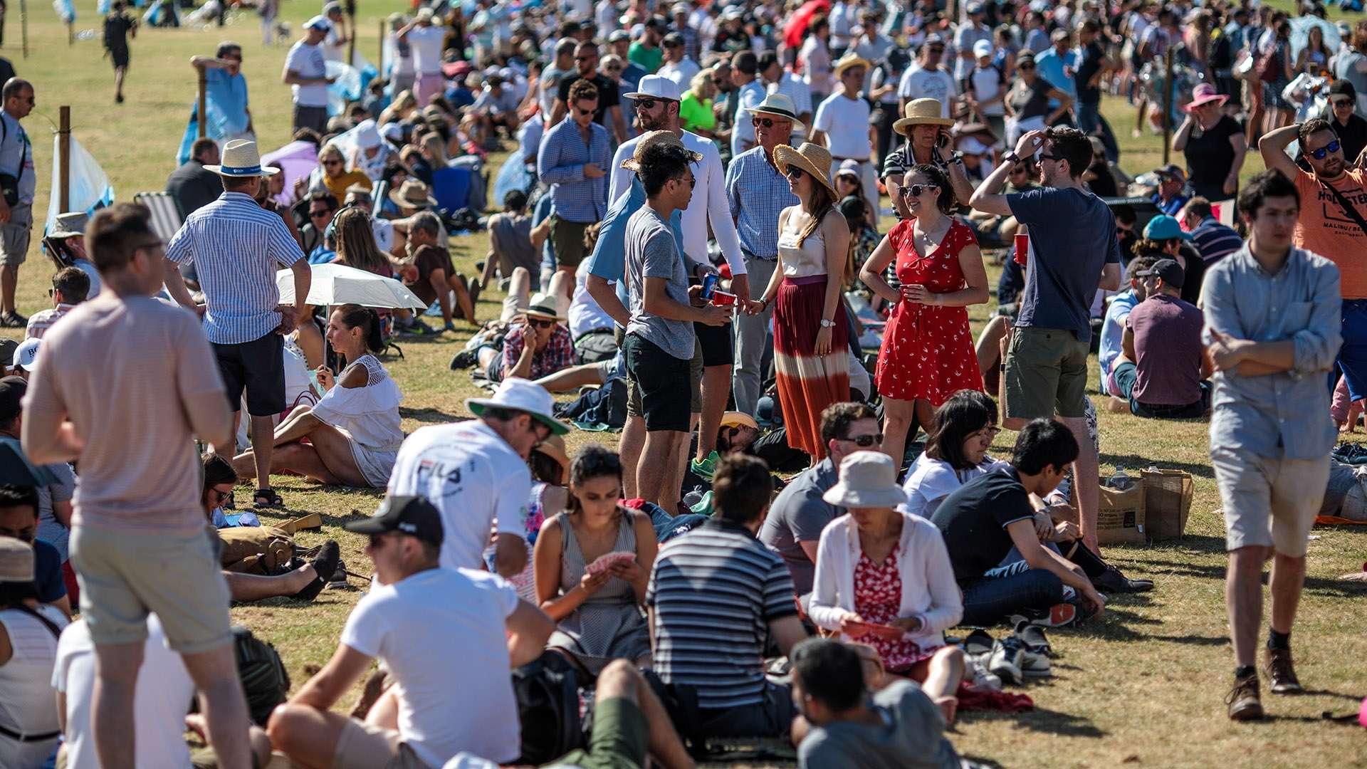 的结合显得 的结合显得