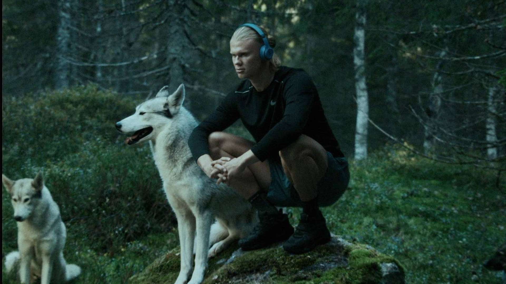 心理素质对 心理素质对