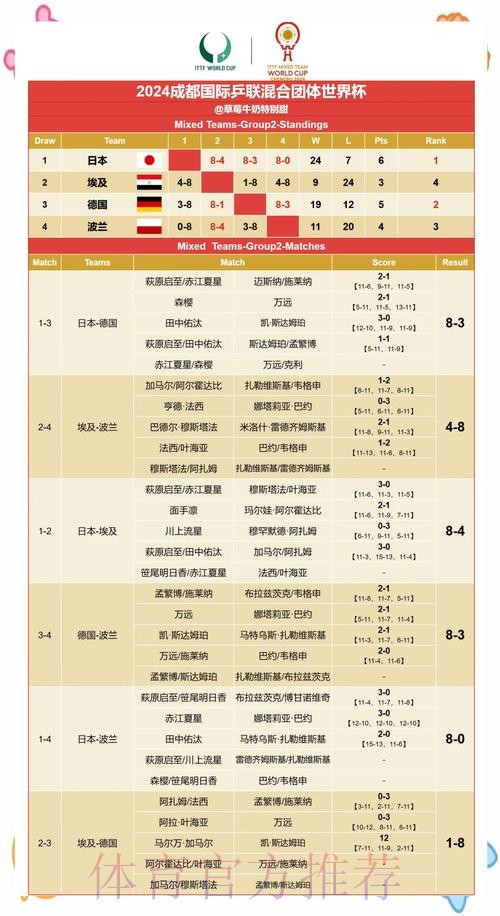 世界杯投注：全面解析赛果，提升命中率